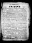 Newspaper: The Lavaca County Tribune (Hallettsville, Tex.), Vol. 1, No. 4, Ed. 1…