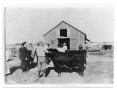 Photograph: [President Taft at Taft Ranch]
