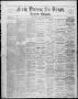 Newspaper: Freie Presse für Texas. (San Antonio, Tex.), Vol. 13, No. 833, Ed. 1 …