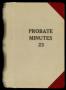 Book: Travis County Probate Records: Probate Minutes 23