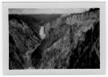 Thumbnail image of item number 1 in: '[Lower Yellowstone Falls in Yellowstone National Park]'.