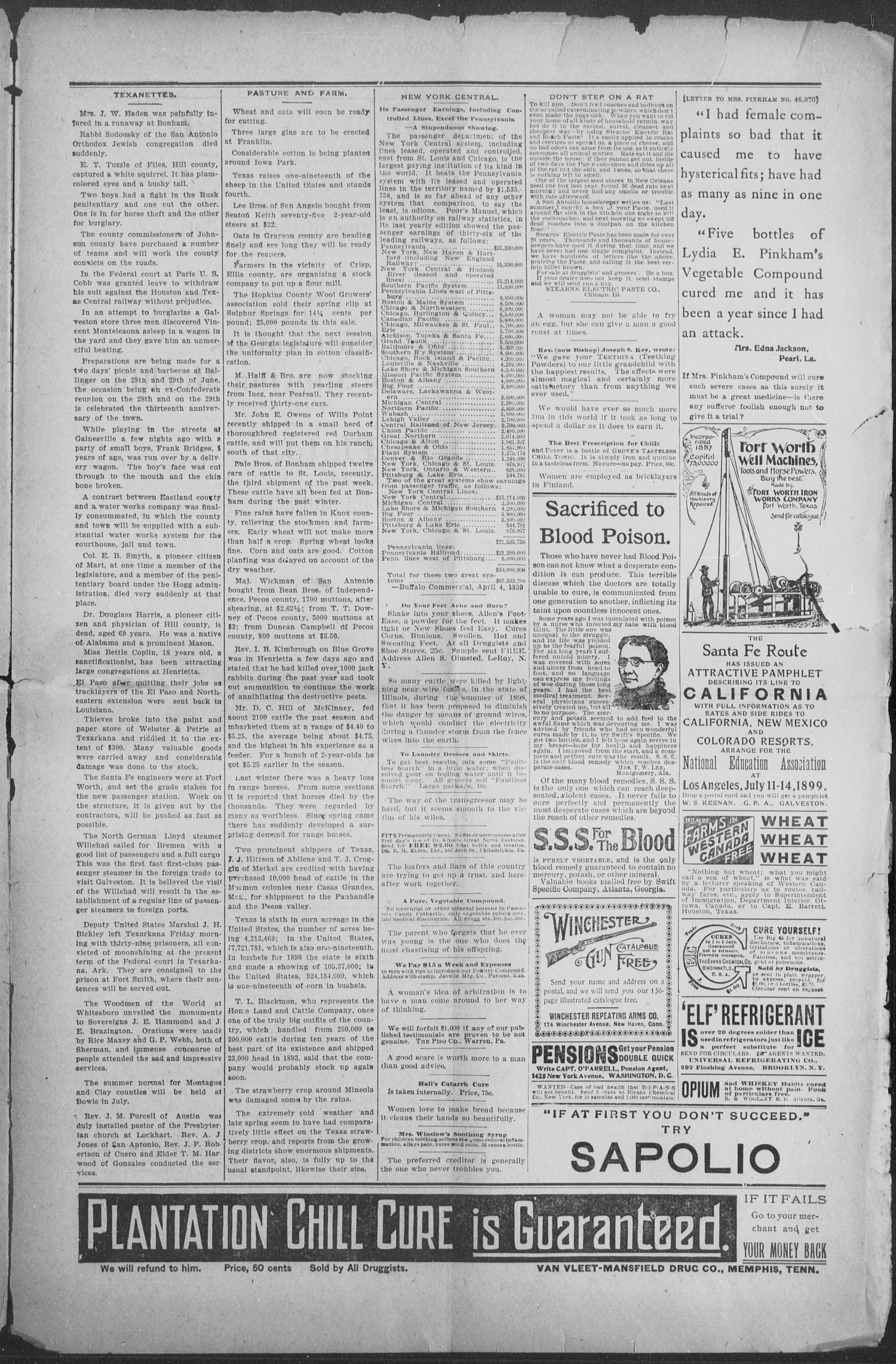 Shiner Gazette. (Shiner, Tex.), Vol. 7, No. 1, Ed. 1, Wednesday, May 31, 1899
                                                
                                                    [Sequence #]: 3 of 8
                                                