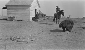Primary view of object titled '[Man on Horseback and Bear]'.