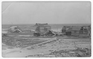 Primary view of object titled 'After the hurricane, 4th Artillery officers line'.