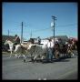 Primary view of [Wagon Train During Texas Sesquicentennial Parade]