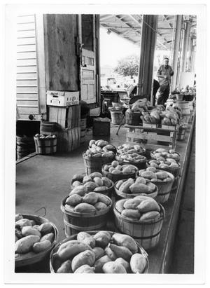 Primary view of object titled '[Produce Display]'.