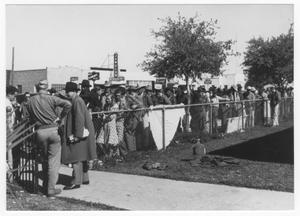 Primary view of object titled '[People waiting for information after the 1947 Texas City Disaster]'.