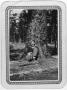 Primary view of [Connie Ford McCann rests against a tree]