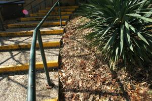 Primary view of object titled '[View of Steps Outside of Information Sciences Building]'.