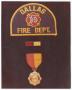 Photograph: [Dallas Fire Department Patch, Insignia Pin, and Medal of Valor]