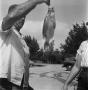 Photograph: [Man Holding Up Fish]