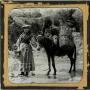 Primary view of Glass Slide of Flower and Fruit Hawker (Nice, France)