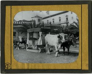 Primary view of object titled 'Glass Slide of Bull Cart (Madeira, Portugal)'.