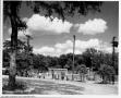 Primary view of [Swimmers at Rosewood Park pool]