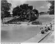 Primary view of [Bathers at Deep Eddy]