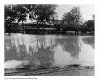 Photograph: [Barton Springs Flooded]