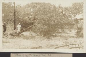 Primary view of object titled '[Municipal Golf Course clearing fairway number ten]'.