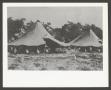Photograph: [Tents with Flags]