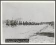 Photograph: [Cavalry Soldiers on Horseback]