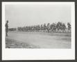 Primary view of [U.S. Army 14th Calvary]