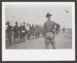 Photograph: [Cavalry Soldiers in Line]