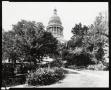 Primary view of [Capitol Grounds]
