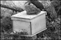 Photograph: [Closeup of Wooden Beehive in Kamay]