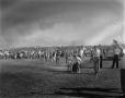 Primary view of [View at a Kite Tournament]