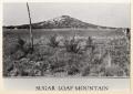 Primary view of [Photograph of Sugar Loaf Mountain]
