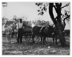 Primary view of object titled '[Man by Wagon]'.