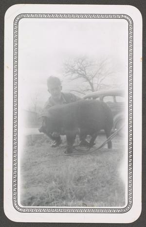 Primary view of object titled '[Boy and Pig]'.