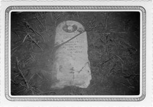 Primary view of object titled '[La Plata Cemetery]'.