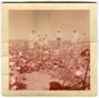 Primary view of [Marion Earl Browning's Cotton Patch]