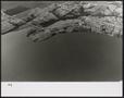 Photograph: [Elgin Photograph #9 - Aerial Photograph of a Lake Ray Hubbard Shorel…