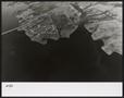 Primary view of [Elgin Photograph #50 - Lake Ray Hubbard & Undeveloped Shoreline]