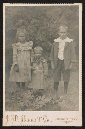 Primary view of object titled '[Portrait of Three Unknown Children Among Foliage]'.