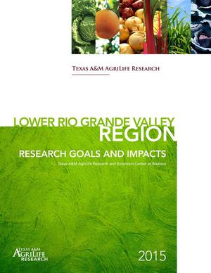 Primary view of object titled 'Lower Rio Grande Valley Region: Research Goal and Impact'.