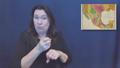 Video: World's Longest History Lesson: Unit 12. Republic of Texas (ASL Inter…