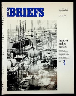 Primary view of object titled 'Baytown Briefs (Baytown, Tex.), Vol. 44, No. 05, Ed. 1 Sunday, September 1, 1996'.