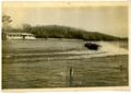 Photograph: [Motor Boat on Caddo Lake, 1930s]