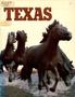 Book: Texas Travel Handbook