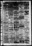 Thumbnail image of item number 3 in: 'Daily State Journal. (Austin, Tex.), Vol. 3, No. 257, Ed. 1 Saturday, November 30, 1872'.