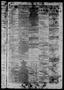 Thumbnail image of item number 3 in: 'Daily State Journal. (Austin, Tex.), Vol. 4, No. 18, Ed. 1 Thursday, February 20, 1873'.