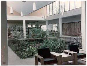 Primary view of object titled '[Atrium at the Emily Fowler Library]'.