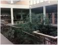 Primary view of [Atrium at the Emily Fowler Library]
