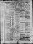 Thumbnail image of item number 3 in: 'Daily State Journal. (Austin, Tex.), Vol. 1, No. 68, Ed. 1 Sunday, April 17, 1870'.