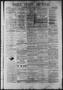 Primary view of Daily State Journal. (Austin, Tex.), Vol. 1, No. 132, Ed. 1 Friday, July 1, 1870