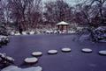 Photograph: [Japanese Garden Pond, Winter #1]