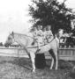 Photograph: [Four Children Posing on a Horse]