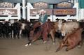 Primary view of Cutting Horse Competition: Image 1997_D-106_15